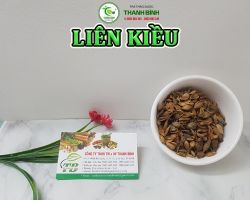 Mua bán liên kiều tại Hưng Yên giúp đẩy lùi mụn nhọt, nổi mề đay