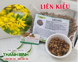 Mua bán liên kiều tại huyện Từ Liêm có tác dụng giúp hạ huyết áp