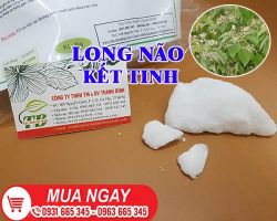 Mua bán long não ở huyện Cần Giờ có tác dụng điều trị đau khớp do bong gân