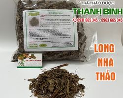 Mua bán Long nha thảo ở đâu tại TPHCM uy tín?