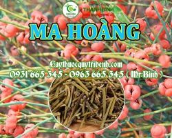 Mua bán ma hoàng tại huyện Ba Vì hỗ trợ làm giảm mạch máu ngoại vi