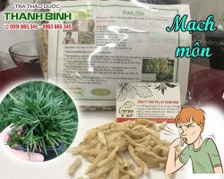 Mua bán mạch môn tại huyện Mỹ Đức điều trị vinh khí muốn tuyệt