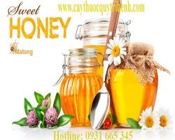 Mua bán mật ong rừng nguyên chất tại Hà Nội hỗ trợ phục hồi tóc hư tổn