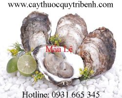 Mua bán mẫu lệ chất lượng tại Bình Dương giúp điều trị đau dạ dày