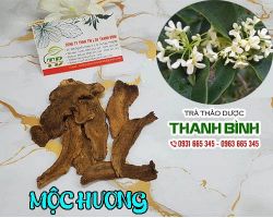 Mua bán mộc hương ở quận Thủ Đức chữa đau bụng do khí trệ