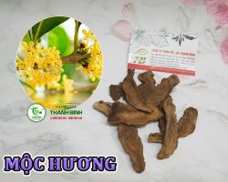 Mua bán mộc hương tại Bạc Liêu có công dụng giúp cải thiện đường ruột