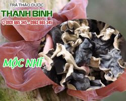 Mua bán mộc nhĩ ở đâu tại TpHCM nguyên chất giá rẻ?