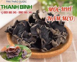 Mua bán mộc nhĩ ở huyện Cần Giờ giúp cải thiện trí nhớ