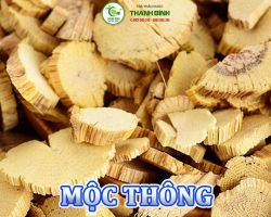 Mua bán mộc thông tại Bình Thuận hỗ trợ cải thiện một số tình trạng như tiểu ít
