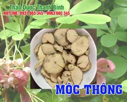 Mua bán mộc thông tại huyện Thường Tín hỗ trợ chữa nghẹt mũi