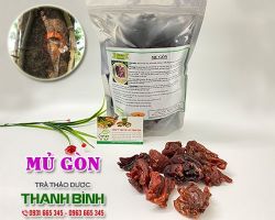 Mua bán mủ gòn tại huyện Ba Vì có tác dụng làm gia tăng cảm giác no