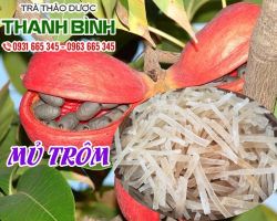 Mua bán mủ trôm ở quận Tân Bình giúp giải độc gan