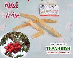 Mua bán mủ trôm tại huyện Thạch Thất có tác dụng kháng khuẩn