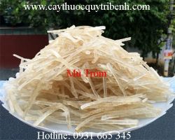 Mua bán mủ trôm uy tín tại Hòa Bình giúp chữa trị mụn hiệu quả nhất