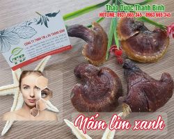Mua bán nấm lim xanh tại quận Ba Đình chữa trị bệnh gout