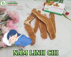 Mua bán nấm linh chi tại Đồng Tháp giúp điều hòa huyết áp hiệu quả nhất