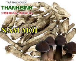 Mua bán nấm mối ở quận Tân Bình rất tốt hệ tiêu hóa
