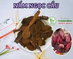 Mua bán nấm ngọc cẩu  ở quận Tân Bình giúp điều trị kinh nguyệt không đều