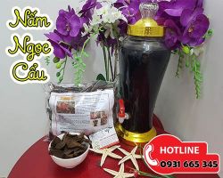 Mua bán nấm ngọc cẩu tại huyện Thạch Thất trị di tinh, hoạt tinh