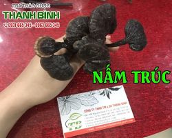 Mua bán nấm trúc tại huyện Mỹ Đức có tác dụng phục hồi sức khỏe do lao lực