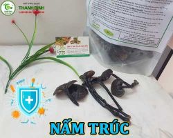 Mua bán nấm trúc tại quận 4 có công dụng giúp tinh thần minh mẫn