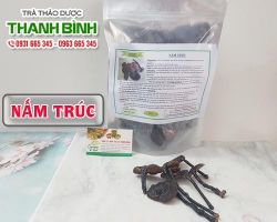 Mua bán nấm trúc tại quận 8 giúp hấp thu dinh dưỡng tốt hơn