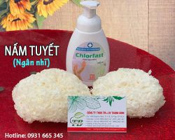 Mua bán nấm tuyết (ngân nhĩ) tại quận 5 có tác dụng bảo vệ tế bào gan