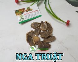 Mua bán nga truật tại Bạc Liêu có công dụng điều trị chứng táo bón hiệu quả nhất