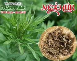 Mua bán ngãi cứu tại quận 2 có tác dụng an thai ngủ ngon hiệu quả nhất