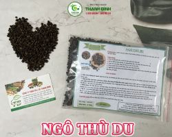 Mua bán ngô thù du tại Đồng Tháp có công dụng trừ phong và ức chế các loại men hiệu quả