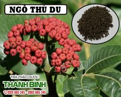 Mua bán ngô thù du tại quận 4 hỗ trợ chức năng tiêu hóa