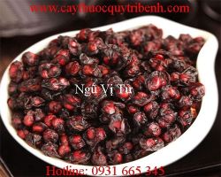 Mua bán ngũ vị tử tại Bình Thuận có tác dụng chữa trị bệnh ho tốt nhất