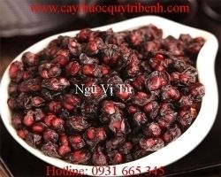 Mua bán ngũ vị tử tại Hải Phòng giúp điều trị giảm trí nhớ tốt nhất