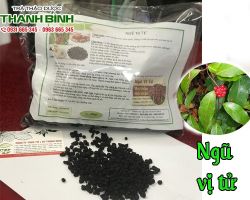 Mua bán ngũ vị tử tại huyện Mê Linh chữa mộng tinh ở nam giới