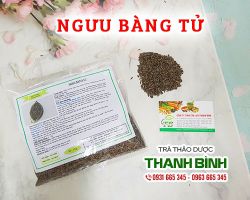 Mua bán ngưu bàng tử ở quận Phú Nhuận điều trị cảm mạo phong nhiệt