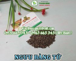 Mua bán ngưu bằng tử tại Đồng Tháp giúp  làm dịu chứng phát ban da