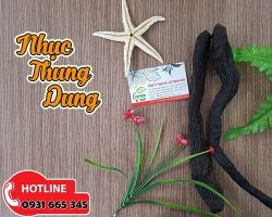 Mua bán nhục thung dung tại quận Đống Đa chữa chân tay lạnh