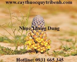 Mua bán nhục thung dung tại tp hcm uy tín chất lượng tốt nhất