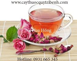 Mua bán nụ hoa hồng uy tín tại Cà Mau làm se khít lỗ chân lông tốt nhất