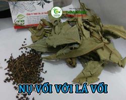 Mua bán nụ vối lá vối ở quận Bình Tân có công dụng chữa bệnh tiểu đường