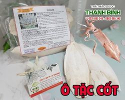Mua bán ô tặc cốt ở quận Gò Vấp có tác dụng điều trị chứng ho ra máu