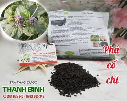 Mua bán phá cố chỉ tại quận Hà Đông trị bệnh xuất huyết tử cung