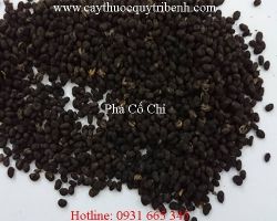 Mua bán phá cố chỉ tại tp hcm uy tín chất lượng tốt nhất