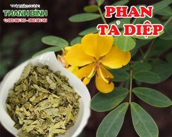 Mua bán phan tả diệp tại quận 4 điều trị bệnh ung thư gan