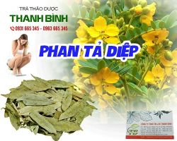 Mua bán phan tả diệp tại quận Cầu Giấy chữa ăn uống không tiêu