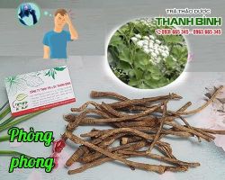 Mua bán phòng phong tại huyện Thạch Thất chữa ăn uống không được