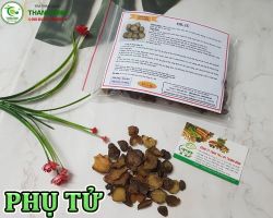 Mua bán phụ tử tại Gia Lai hỗ trợ cải thiện điều trị đau lưng mỏi gối hiệu quả