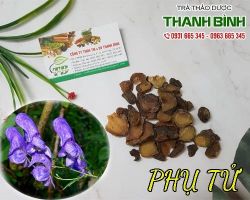 Mua bán phụ tử tại quận Long Biên chữa tụt huyết áp
