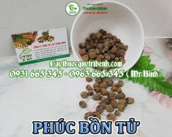 Mua bán phúc bồn tử tại Bình Thuận hỗ trợ tăng cường trí nhớ hiệu quả
