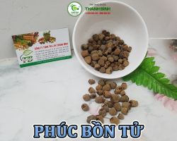 Mua bán phúc bồn tử tại Đồng Tháp giúp cho xương chắc khỏe hơn